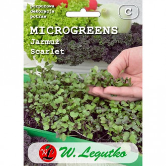 Microgreens Jarmuż Scarlet interface.image 16