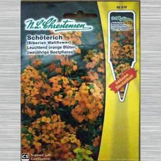 Micșunea Goldlack imagine 3