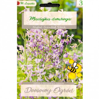 Micșunele mov Legutko imagine 1