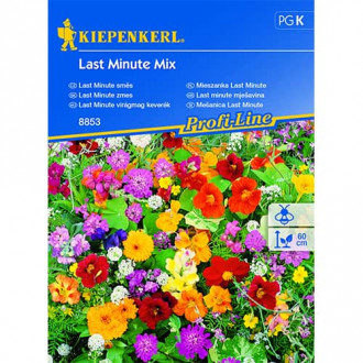 Mieszanka ozdobna Last Minute, mix kolorow interface.image 3
