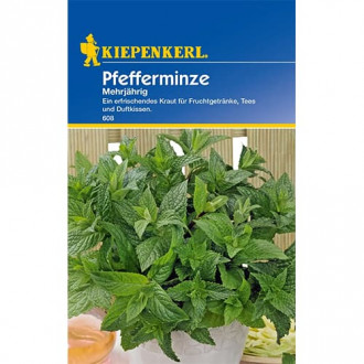 Mieta pieprzowa interface.image 1