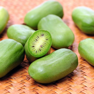 Mini kiwi (aktinidia) Issai, P9 interface.image 1