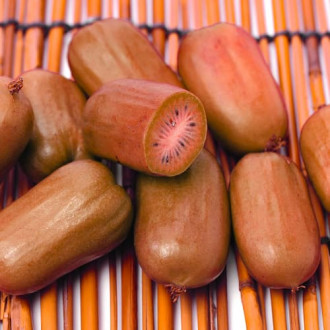 Mini kiwi Ken's Red, P9 imagine 4