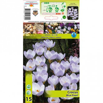 Минзухар Blue Pearl изображение 13