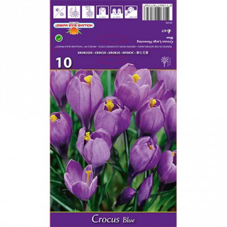 Минзухар Blue изображение 8