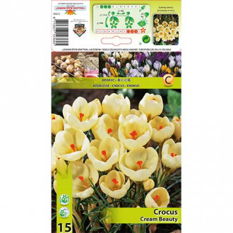 Минзухар Cream Beauty изображение 12