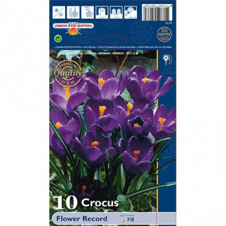 Минзухар Flower Record изображение 7