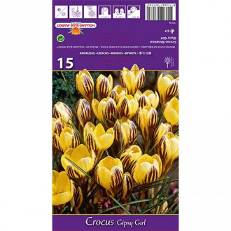 Минзухар Gipsy Girl изображение 5