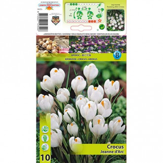 Минзухар Jeanne d' Arc изображение 7