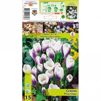 Минзухар Prins Claus изображение 14