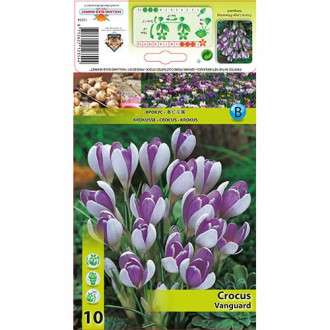 Минзухар Vanguard изображение 2