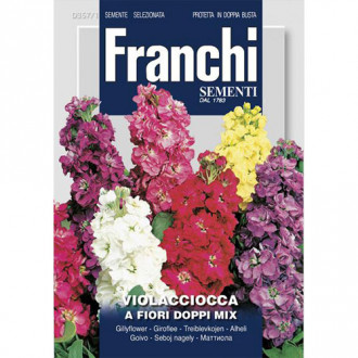 Mixandră cu flori duble, mix multicolor imagine 14