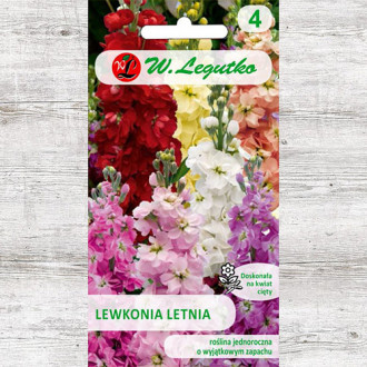 Mixandre Excelsior, mix multicolor Legutko imagine 3