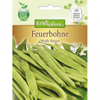 Многоцветен увивен фасул Weise Riesen изображение 16