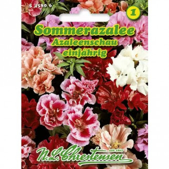 Многоцветна кларкия (Лятна азалия), смес изображение 1