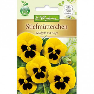 Теменужка Golden Yellow Eyed Chrestensen изображение 11