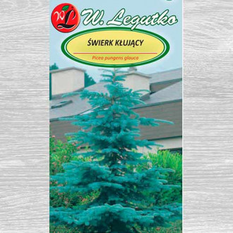 Molid argintiu imagine 6