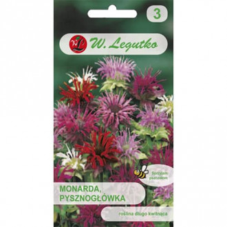Monarda (Pysznogłówka), mix kolorow interface.image 1