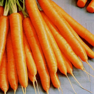 Morcovi Amsterdam imagine 7