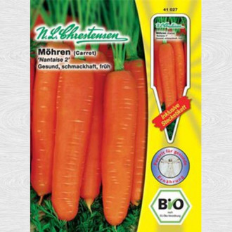 Morcovi Nantes 2 bio imagine 7