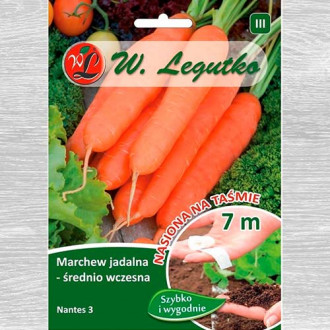 Morcovi Nantes 3 imagine 4