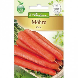 Morcovi Rotin imagine 3