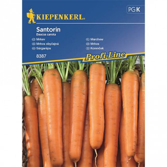 Morcovi Santorin F1 imagine 7