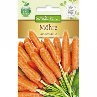 Морков Amsterdam 2 Chrestensen изображение 10