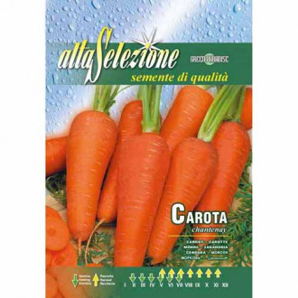 Морков Chantenay изображение 1