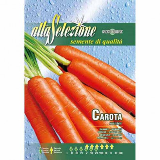 Морков Nantes изображение 2