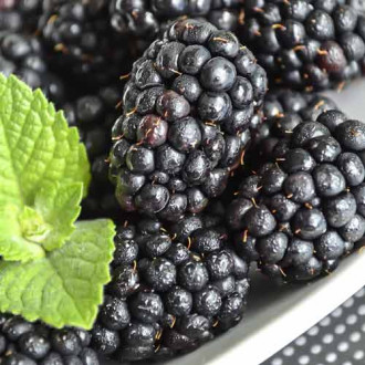 Mur Black Beauty imagine 9