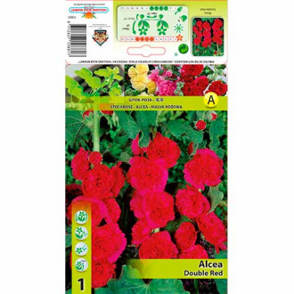 Nalbă de grădină (Alcea) Double Red imagine 4
