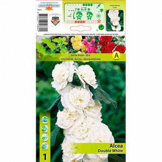 Nalbă de grădină (Alcea) Double White imagine 7