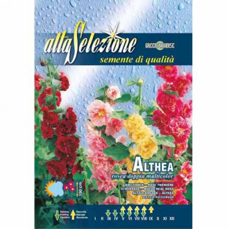 Nalbă de grădină (Alcea) dublă, mix multicolor imagine 1