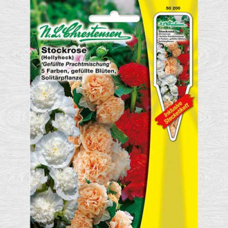 Nalbă de grădină dublă, mix multicolor imagine 15