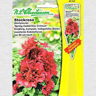 Nalbă de grădină Spring Celebrities Crimson imagine 14