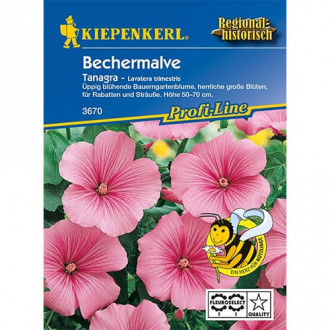 Nalbă (Lavatera trimestris) Tanagra Rosa imagine 7