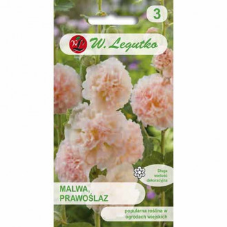 Nalbă de grădină Marshmallow, somon imagine 10