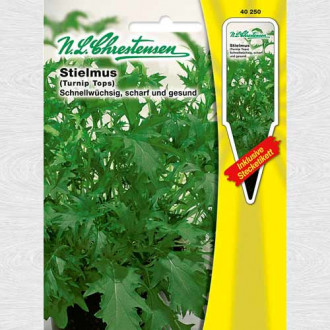 Nap de miriste imagine 9