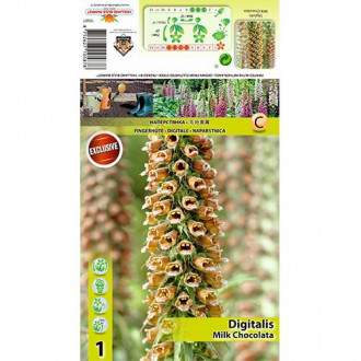 Naparstnica Milk Chocolate interface.image 12