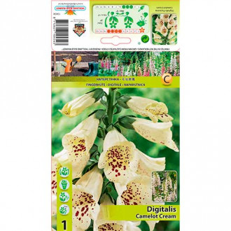 Naparstnica Camelot Cream interface.image 4