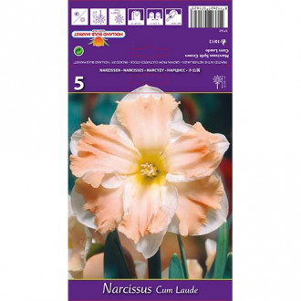 Narcise Cum Laude imagine 5