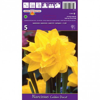 Narcise Golden Ducat imagine 13