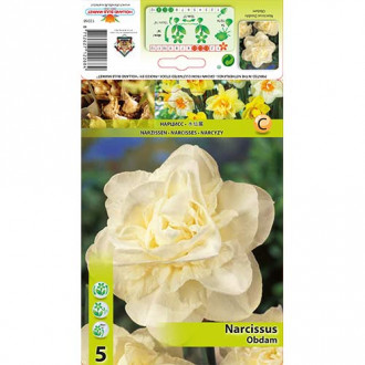Narcise Obdam imagine 11