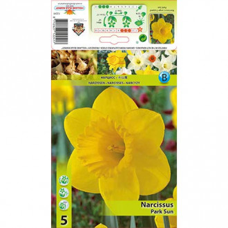 Narcise Park Sun imagine 9