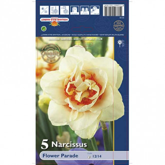 Narcyz pełny Flower Parade interface.image 7