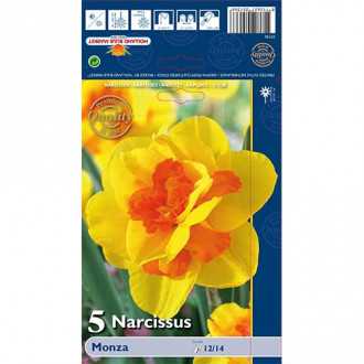 Narcyz Моnza interface.image 15