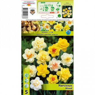 Narcyz pełny, mix kolorów interface.image 11