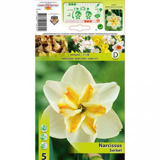 Narcyz Sorbet interface.image 8