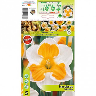 Narcyz Tricollet interface.image 12